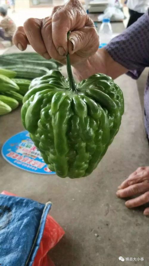 香港的瓜最新爆料,揭秘幕后真相,事件再掀波澜 第3张 香港的瓜最新爆料,揭秘幕后真相,事件再掀波澜 第3张